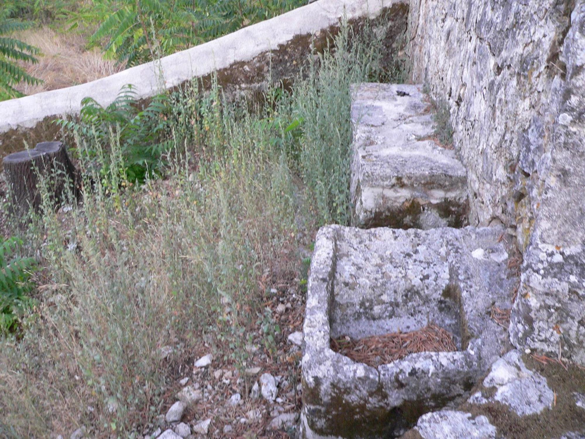 איה אפימיה Evangelia מראה חיצוני תמונה